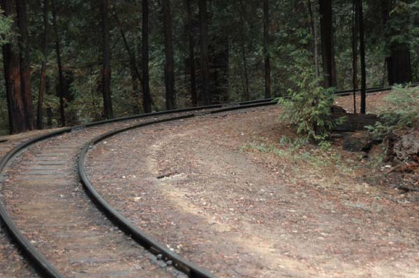 roaring_camp 127