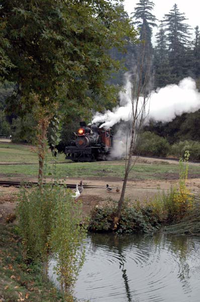 roaring_camp 194