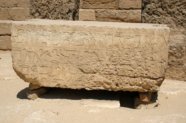 abusir_jul_2006_0073