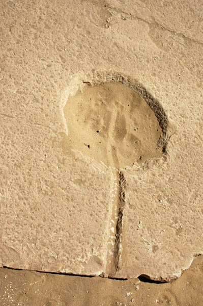 abusir_jul_2006_0090