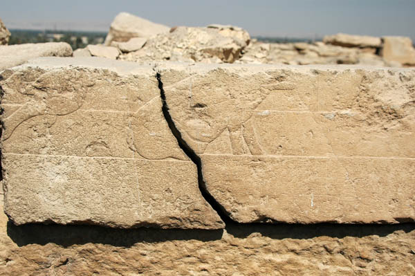 abusir_jul_2006_0175