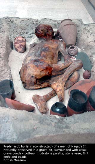 naqada II burial001