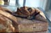 intef's coffin001