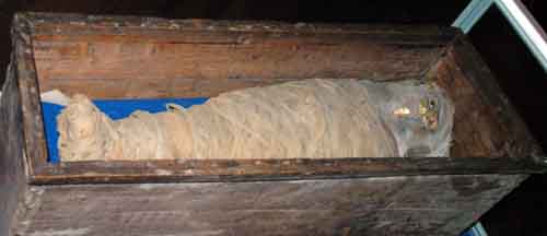 bolton_museum_1094