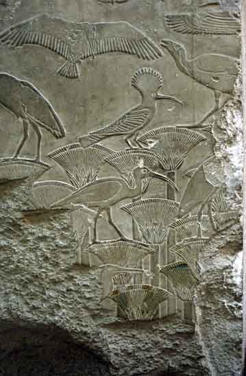 egpytian_museum_cairo_2062