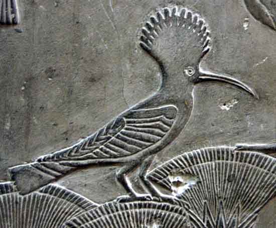 egpytian_museum_cairo_2064