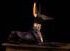 anubis