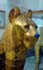 lion 1