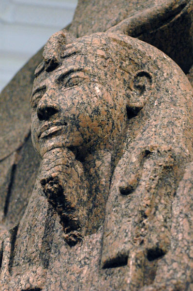 fitzwilliam_sep2006_ 334