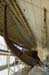 giza_jul_2006_0271