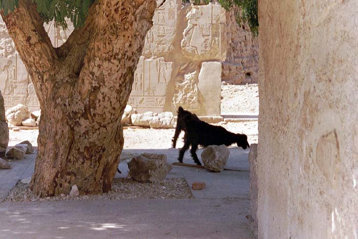 karnak_2002_046