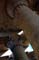 Picture 109001
