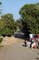 Picture 235001