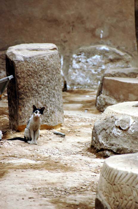 luxor_2004_053