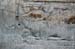 luxor_2004_045