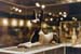 luxor_mumification_0025