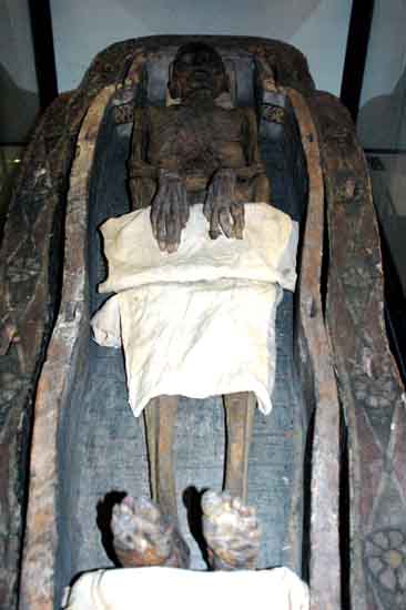 manchester_museum_1066