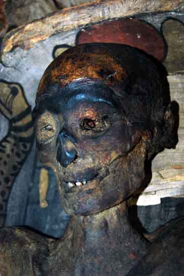 manchester_museum_1072