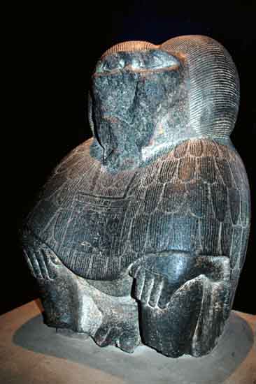 manchester_museum_1104