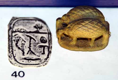 seal