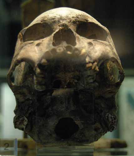 skull 2