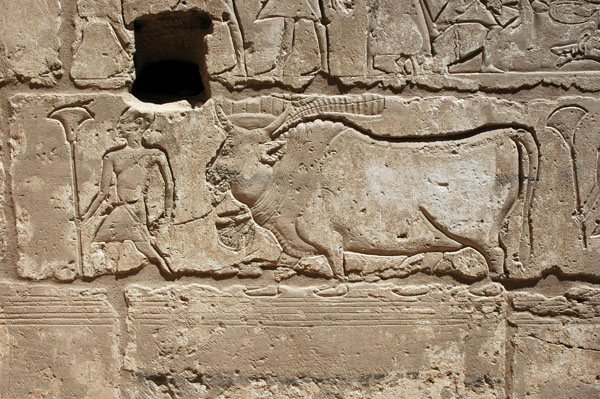 medinet_habu_jul_2006_0106
