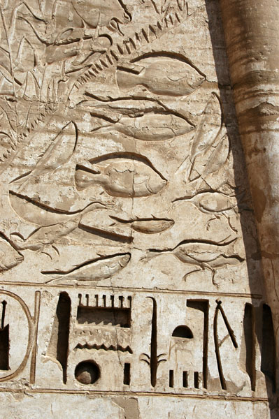 medinet_habu_jul_2006_0242