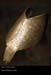 archer's bracer001