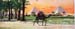 Photots, Set 1, 008