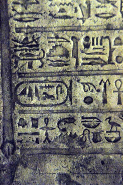 Petrie Museum (UCL) 100