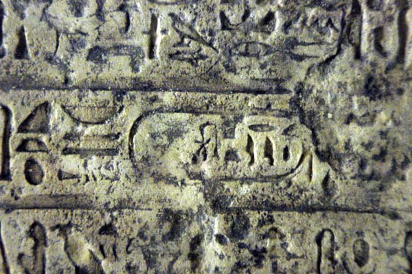 Petrie Museum (UCL) 101