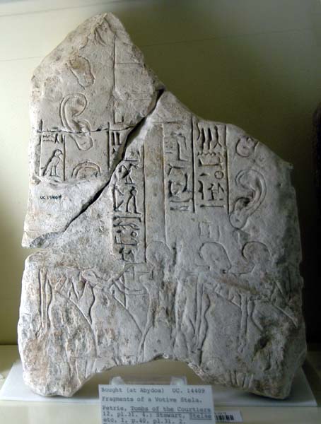 Petrie Museum (UCL) 104