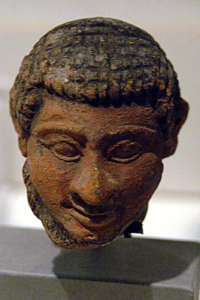 Petrie Museum (UCL) 188