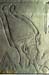 Petrie Museum (UCL) 116