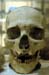 Petrie Museum (UCL) 140
