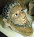 Petrie Museum (UCL) 148