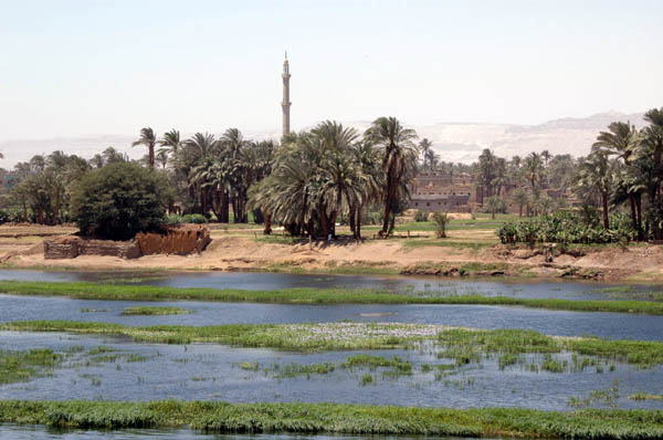 River Nile 009