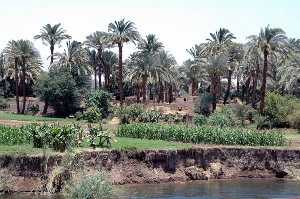 River Nile 014