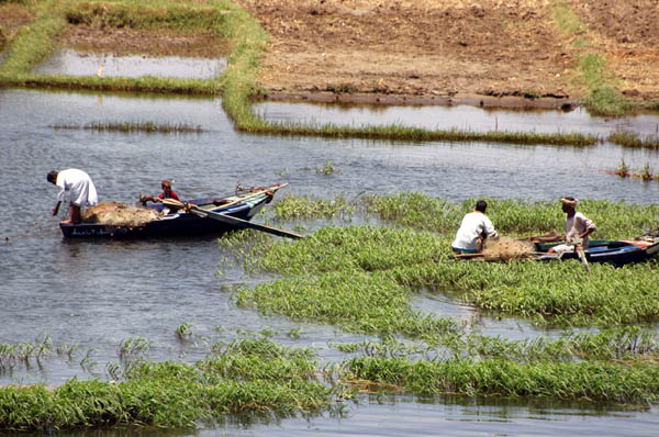 River Nile 022
