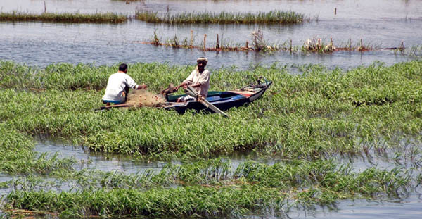 River Nile 023