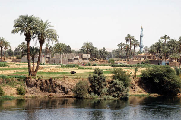 River Nile 037