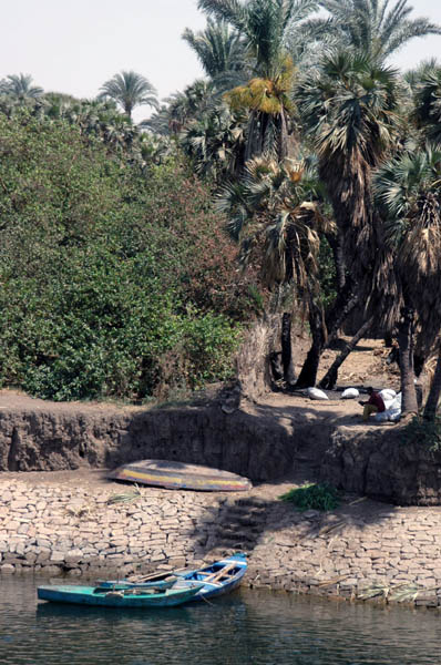 River Nile 042
