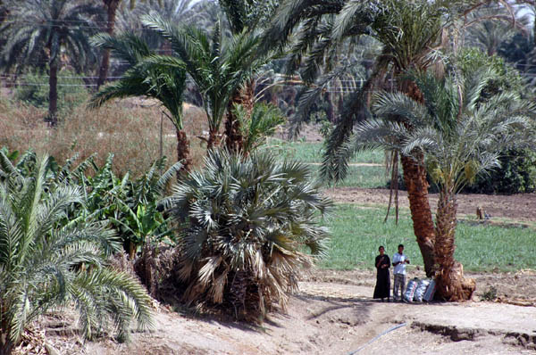 River Nile 044