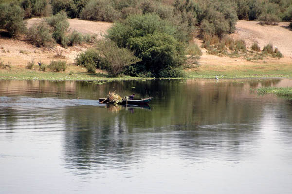 River Nile 046