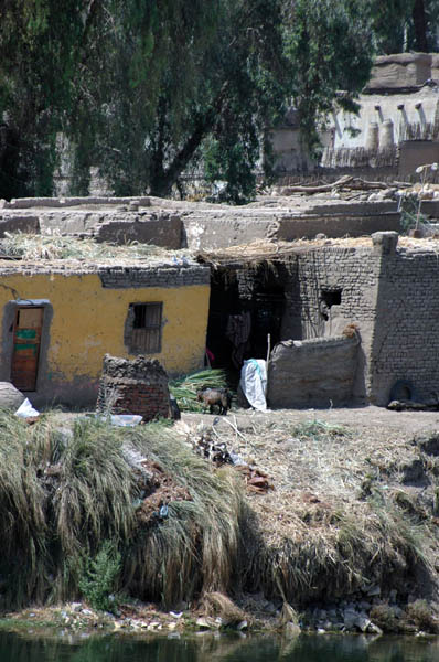 River Nile 048