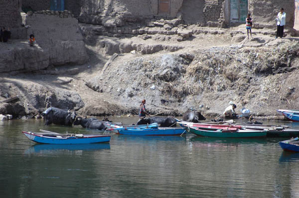 River Nile 051