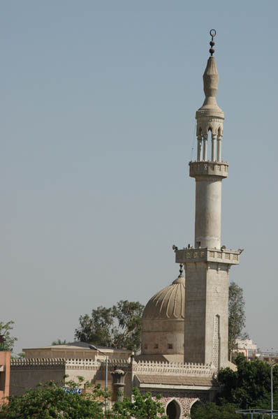 River Nile 065