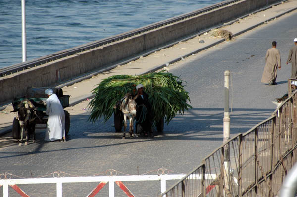 River Nile 095