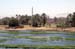 River Nile 009
