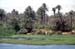 River Nile 010